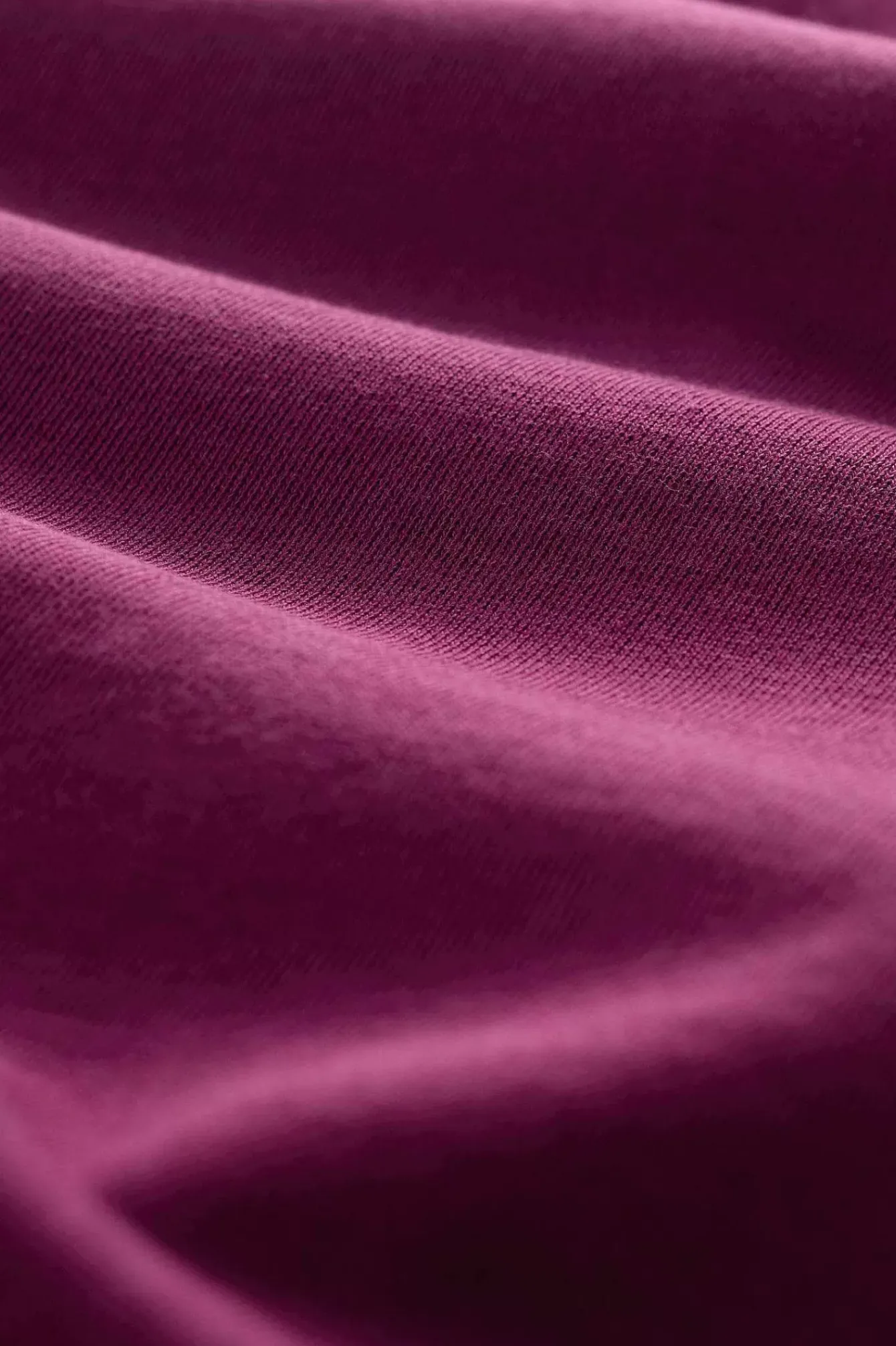 Seasalt Cornwall Tops<Clear Wing V-Neck Collared Sweatshirt Cassis